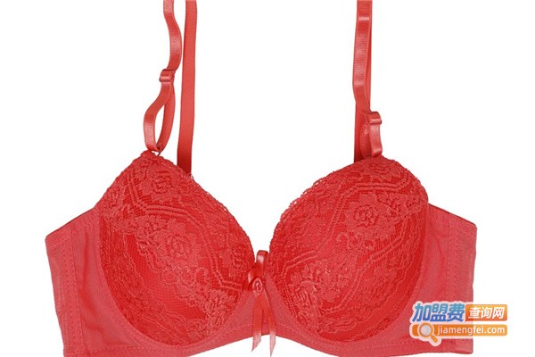 菊花牌内衣加盟