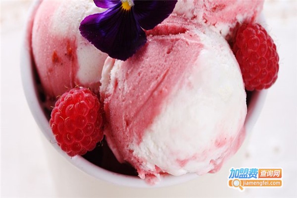 Meltin意大利手工冰淇淋店加盟费