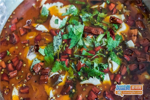 恋鱼烤鱼吧加盟费