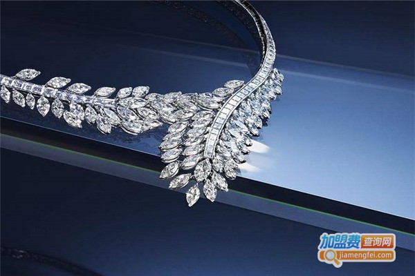 施洛菲迪加盟费