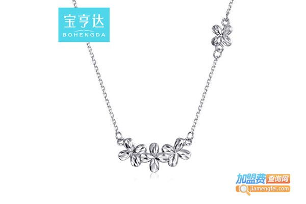 宝亨达BOHENGDA加盟费