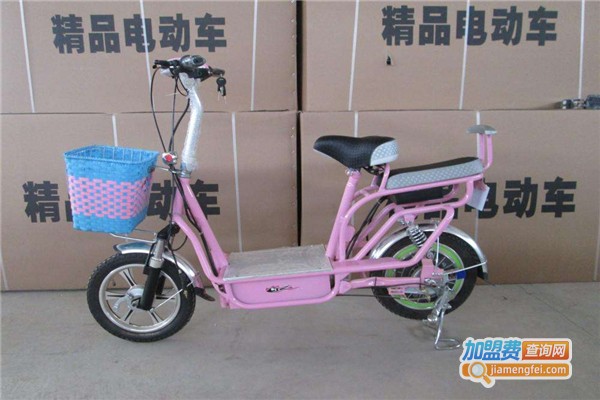 金圣欧电动车加盟费