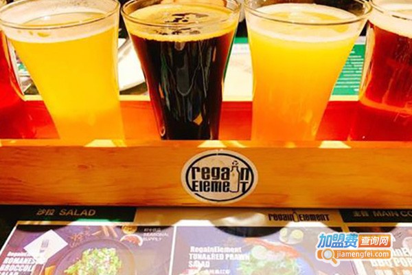 原素精酿·餐加盟费