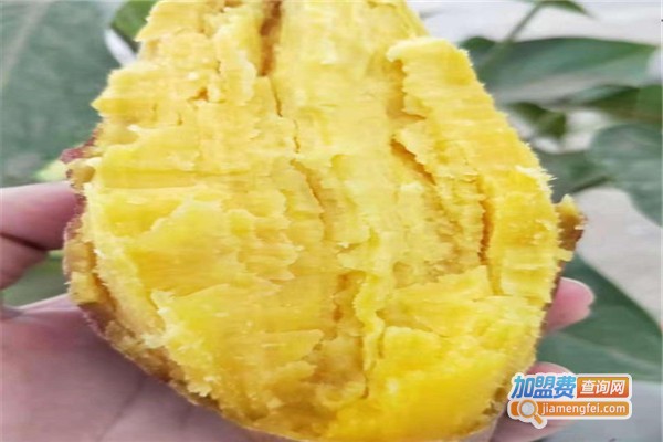 小红蕃薯加盟费