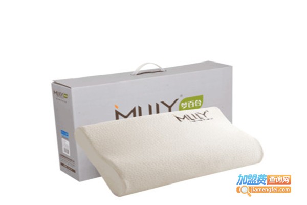 梦百合记忆枕加盟费