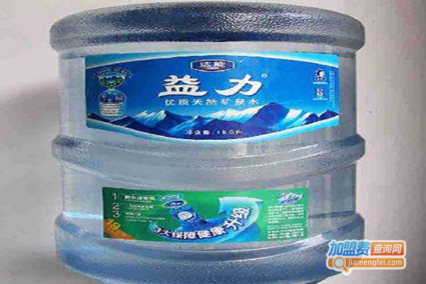 达能益力饮品加盟费