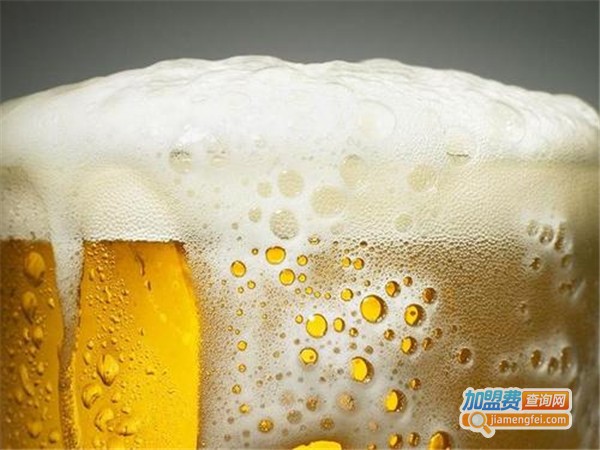 冰爽雪资啤酒加盟费