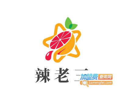 辣老三带烧烤的老火锅加盟费