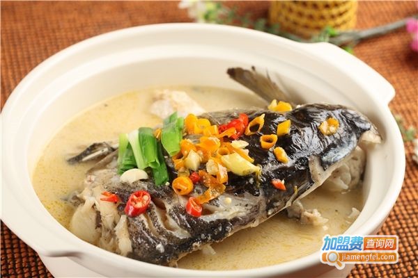 喵逗料理加盟费