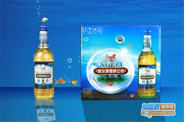 冰爽雪资啤酒加盟费