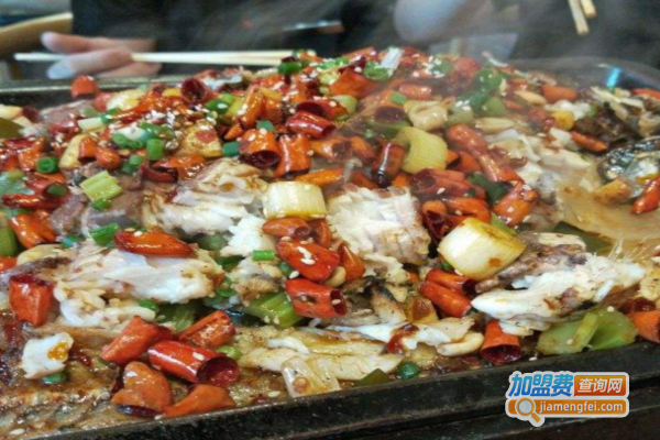 老渔樵碳烤全鱼加盟费