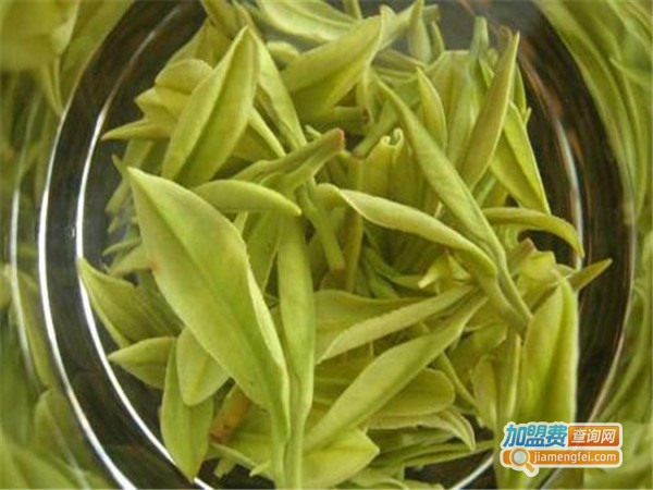 天目湖之家加盟门店