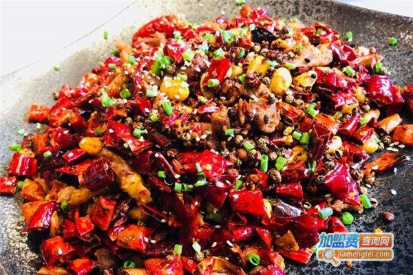 金山城.庭院人家加盟