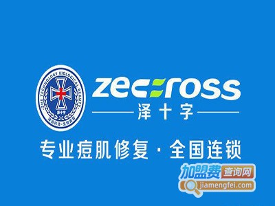泽十字祛痘平疤护肤品