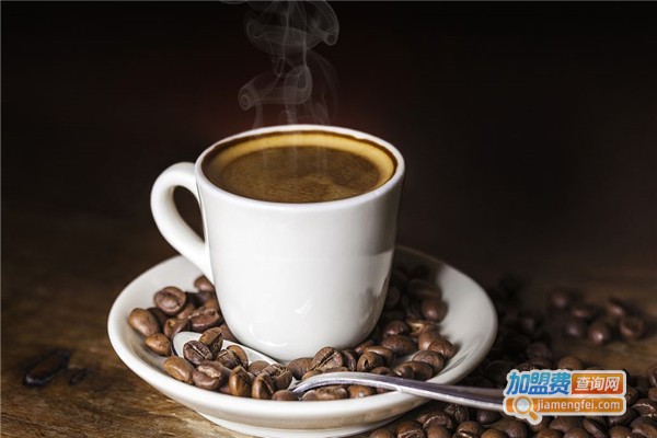 风尚咖啡加盟费