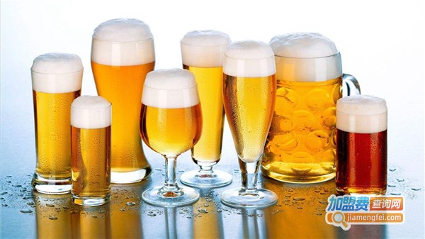 道盛啤酒加盟费