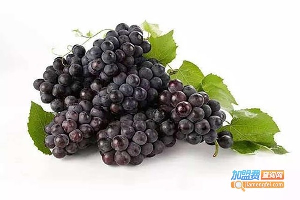 德发行葡萄酒加盟费