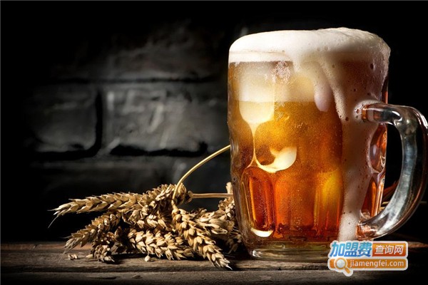 德恒跃啤酒加盟费