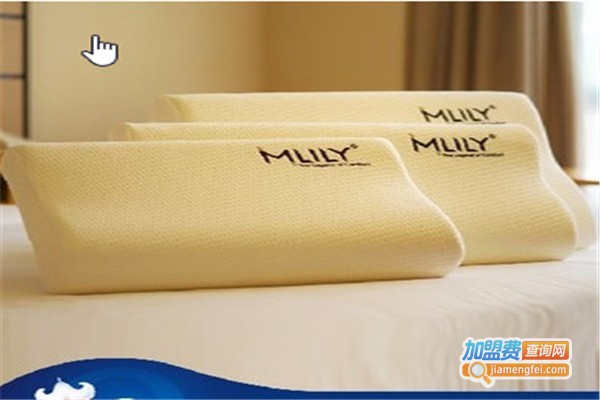 梦百合记忆枕加盟费