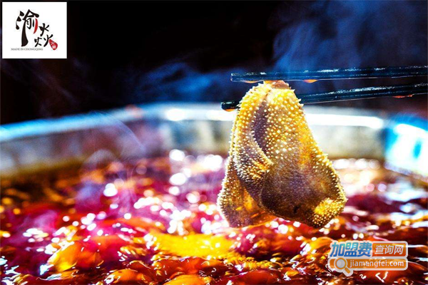 渝焱·重庆秘宗火锅加盟费