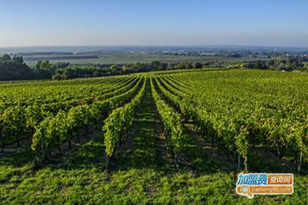 德发行葡萄酒加盟费