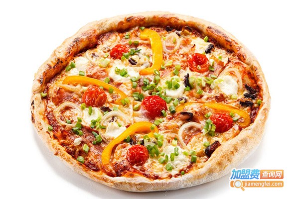 赛格比萨加盟费