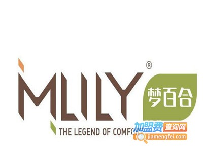 梦百合记忆枕加盟费