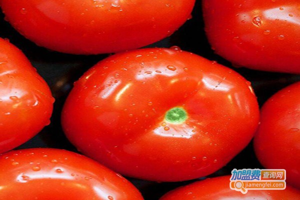 泉晟新鲜蔬菜加盟费