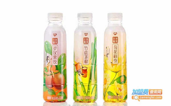 飞千雪饮料加盟费