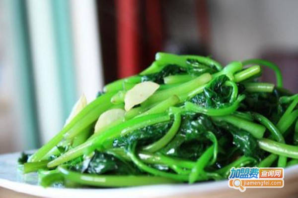 伍福素斋加盟费