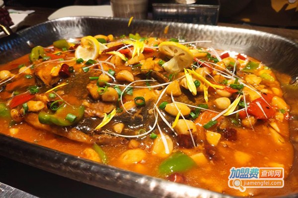 蜀国江上加盟费