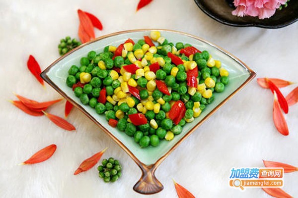 甘露素食主义加盟费