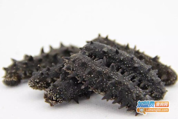 邢氏海参鲁菜馆加盟费