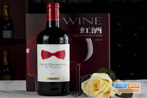 安蒂克葡萄酒庄加盟费