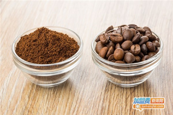 英芝堂灵芝粉加盟费