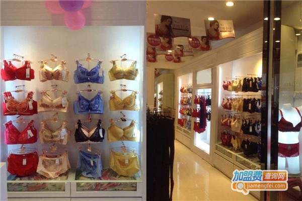 雅安丽娜内衣加盟费