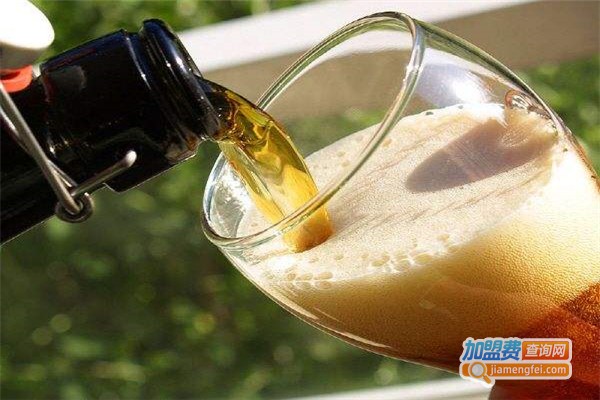 德州蓝梦至尊啤酒加盟费