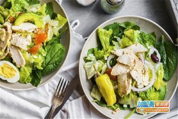 源动轻食餐加盟费