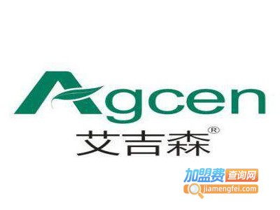 艾吉森加盟费