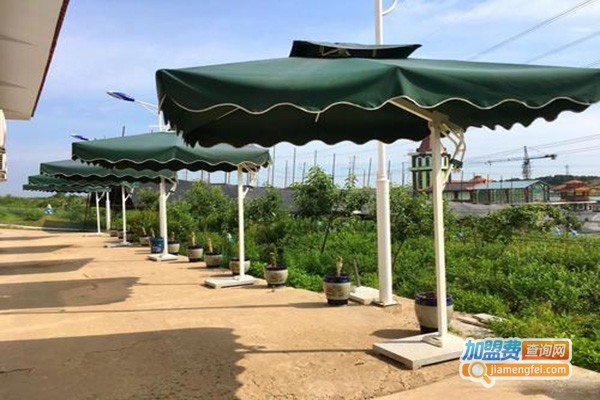 村边农家院加盟门店