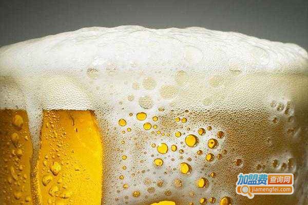 帝可瓦斯啤酒加盟费