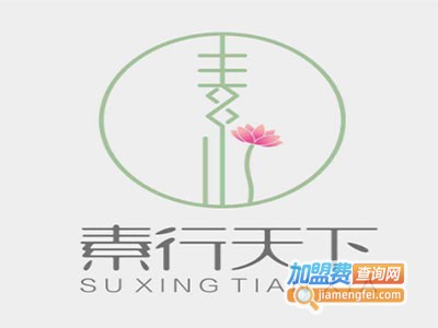 素行天下加盟费