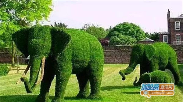 绿芙莱墙基布加盟费