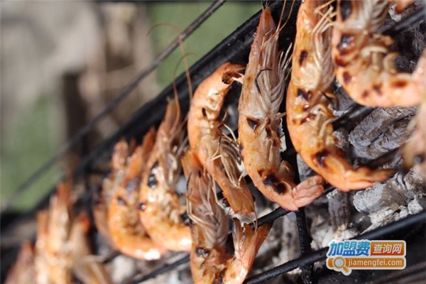 上庄水库吉雨自助烧烤农庄加盟费