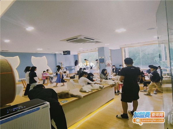 喵不理茶加盟门店