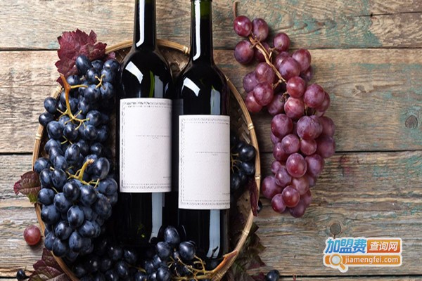黛斯特尼葡萄酒加盟费
