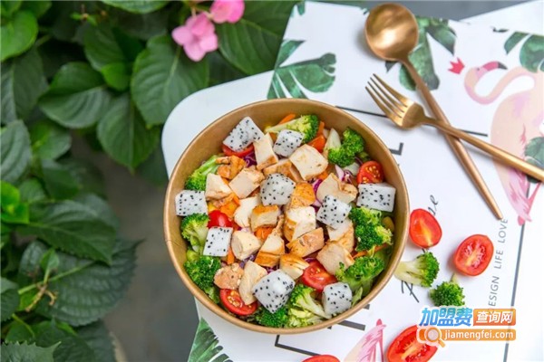 saladuniversity加盟费