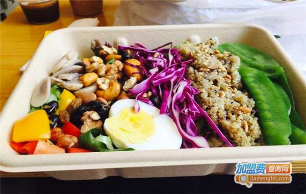 原素沙拉加盟费