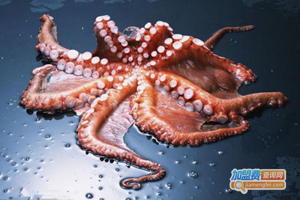 章鱼世家加盟门店