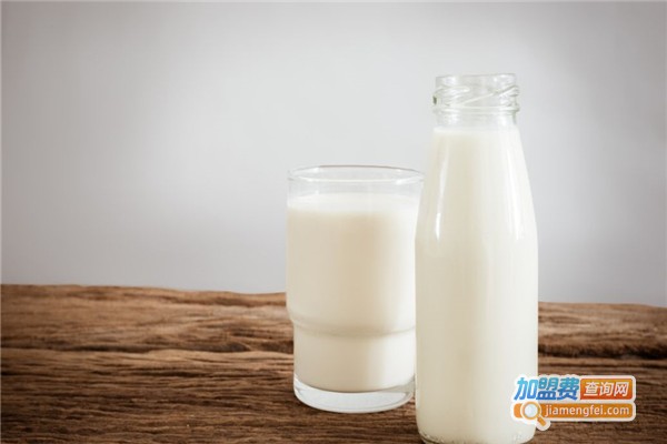 宝露露乳酸菌饮料加盟费
